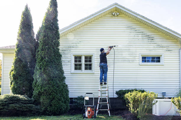 Best Sidewalk and Walkway Cleaning  in Pioche, NV